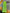 10"X10YD HORIZONTAL WIDE STRIPE MESH - LIME GREEN - RE890068