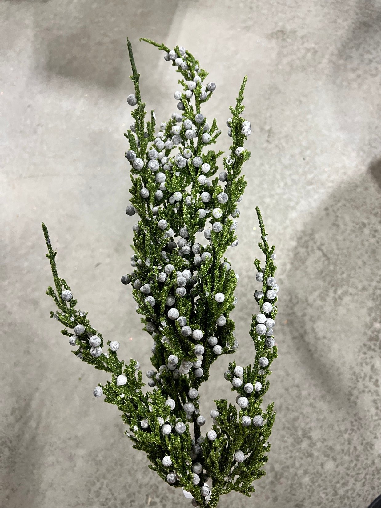 22”H cypress  spray  - XX7880