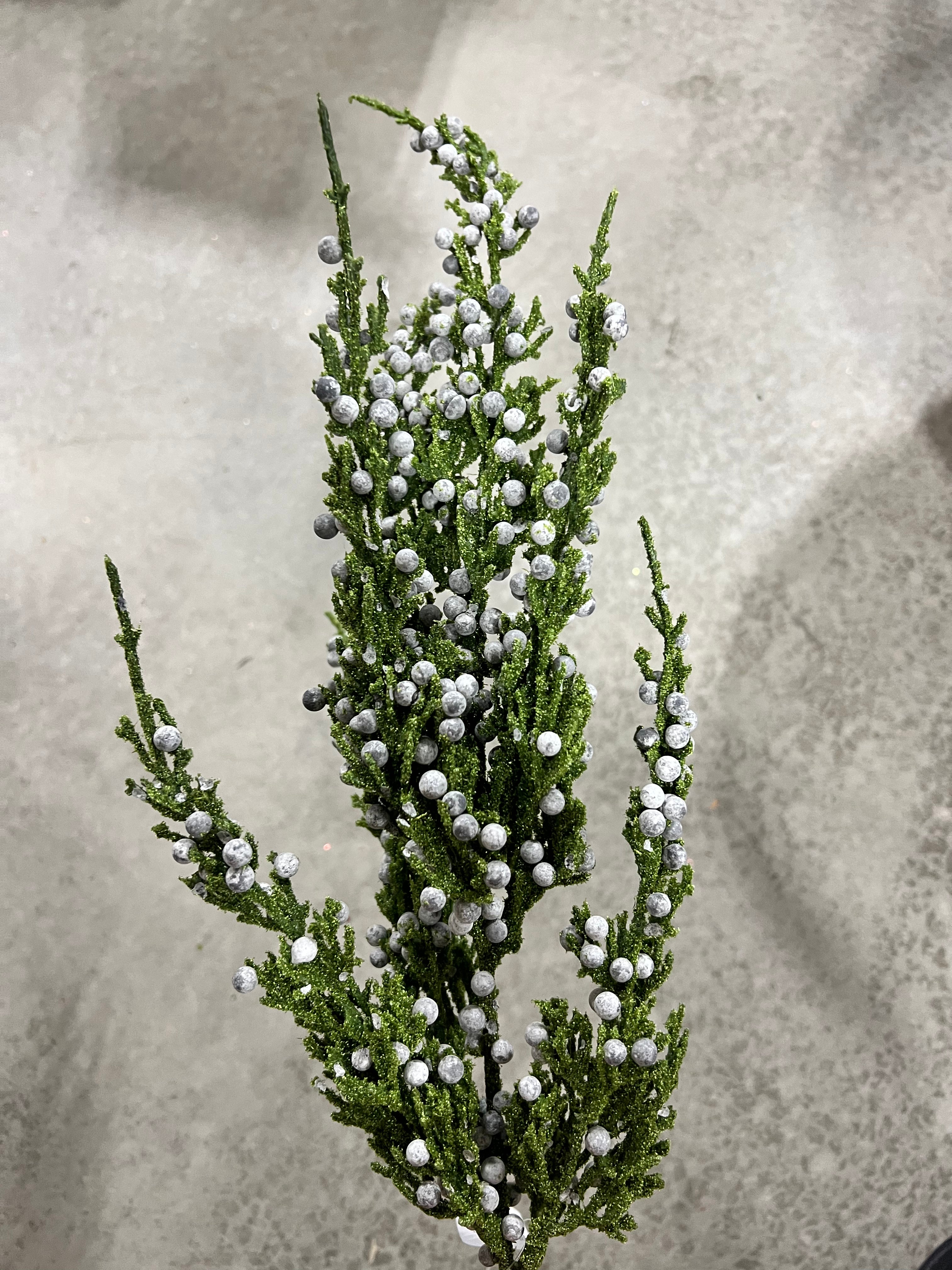 22”H cypress  spray  - XX7880