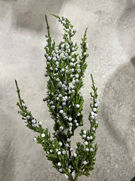 22”H cypress  spray  - XX7880