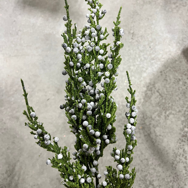 22”H cypress  spray  - XX7880