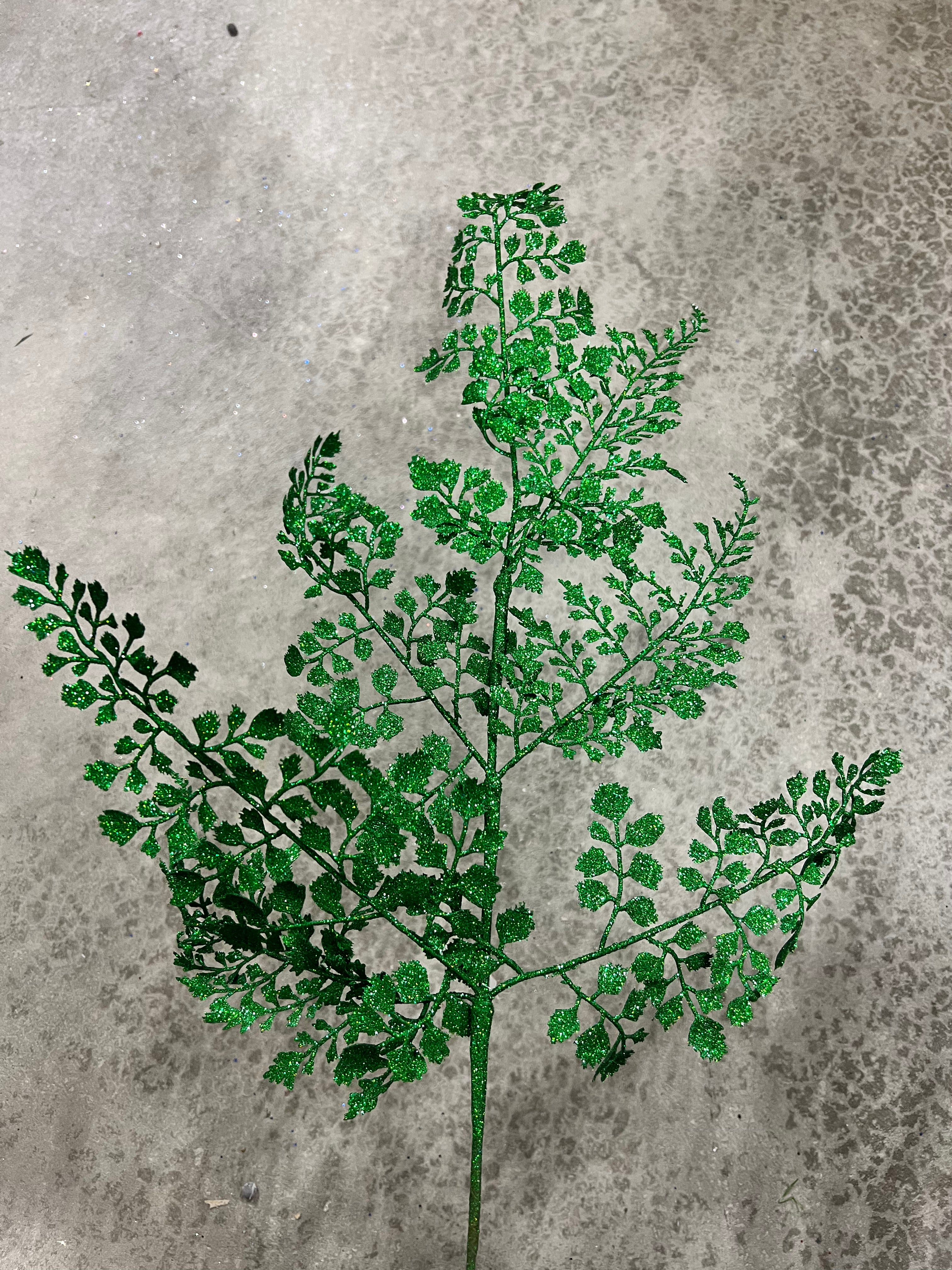23”H  green maidenhair fern - XS236706