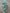 15”H  turquoise candy cane - 693083