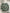 15” green pencil work form  - xx750406