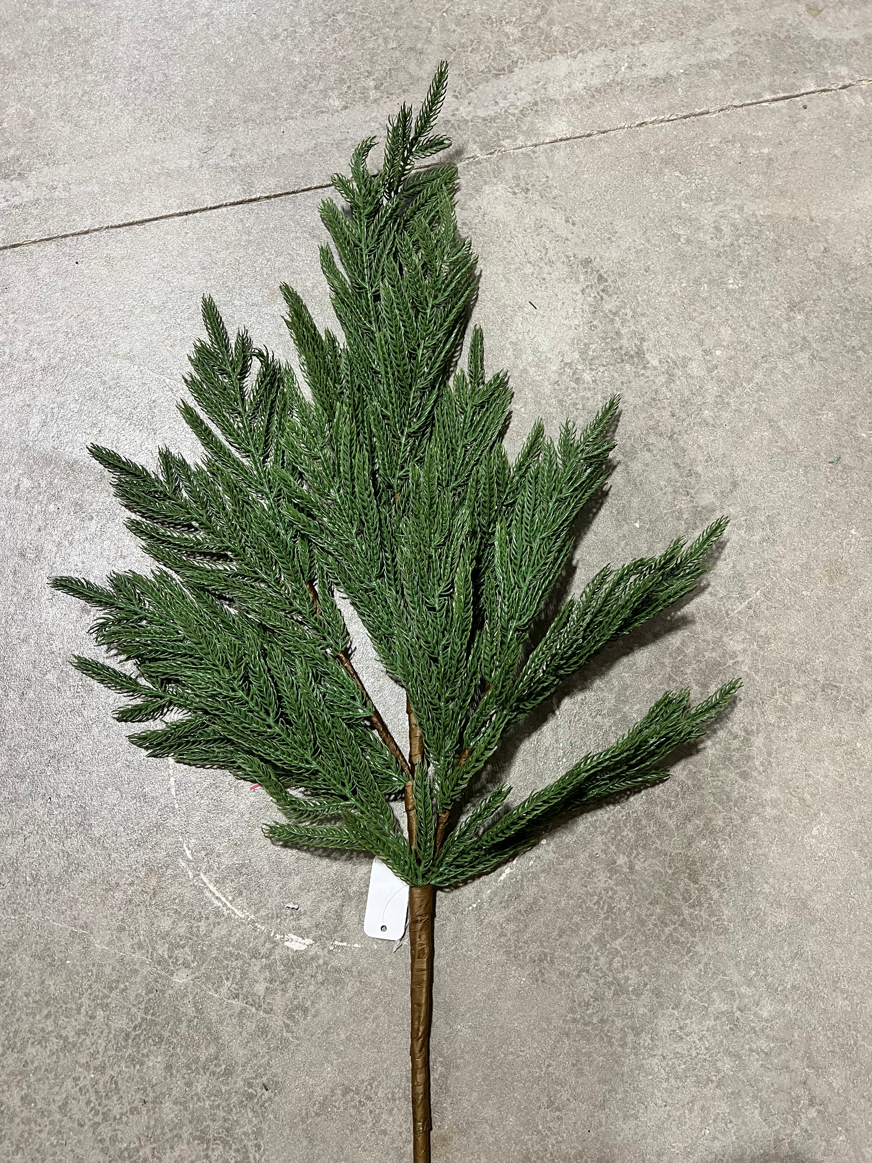 38”H mixed Ming pine spray  - XX975609