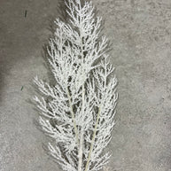 25.5 ”H white fern spray - DCSP3606WH