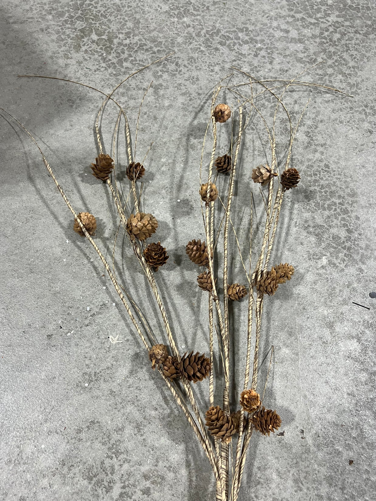 38 ”H pine cone branch spray - DC22108