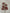 24 ”H red and champagne berry ball spray - DCSP3541