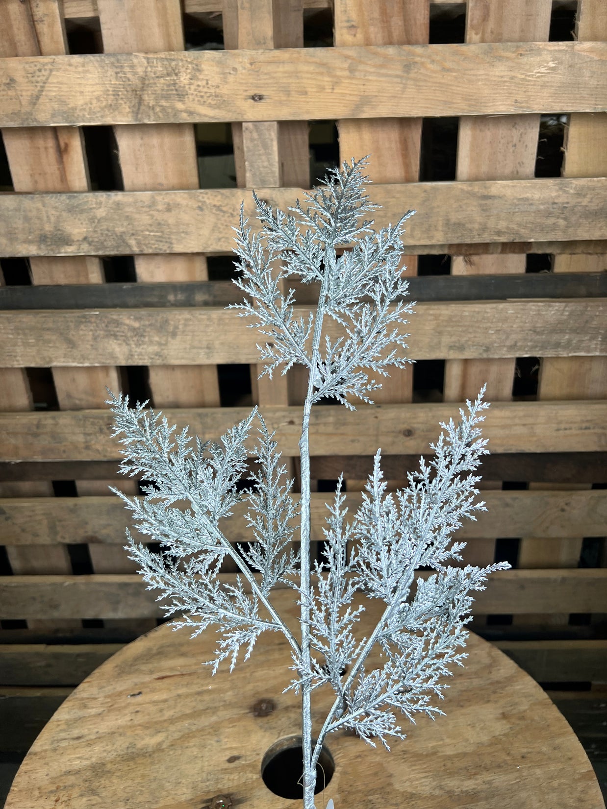 32" shimmery silver fern spray - DCSP5089SL