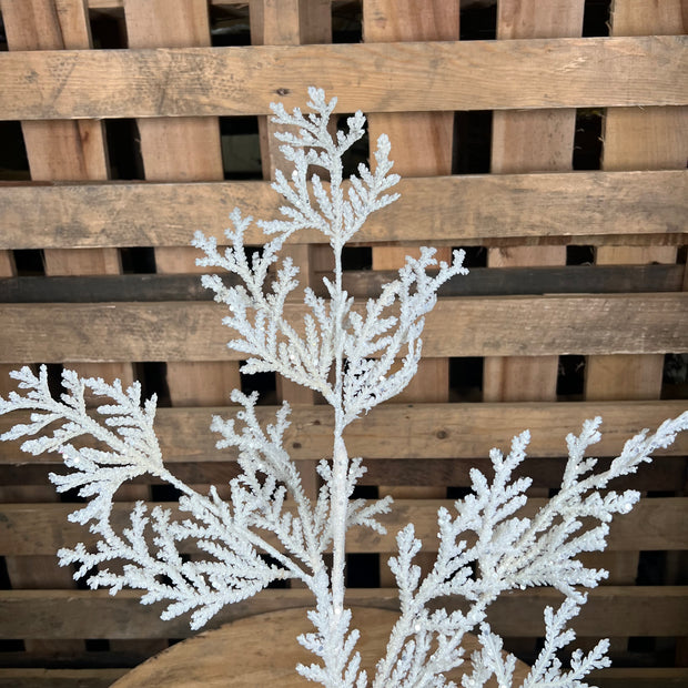 28.5"  White glitter Lycopodium spray - DCSP3599WH