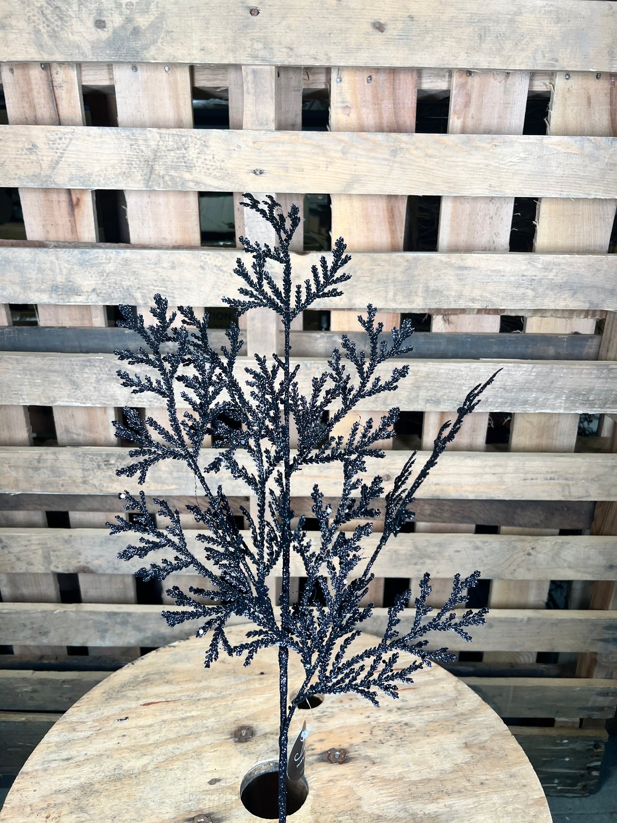 28.5"  Black glitter Lycopodium spray - DCSP3599BK