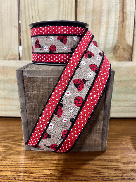 2.5" x 10Y lady bug Swiss dot Wired Ribbon, wreath making supplies, lady bug ribbon, spring ribbon, RG0817101 - MBcraftssupplyco