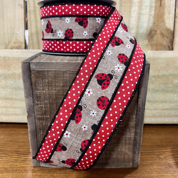 2.5" x 10Y lady bug Swiss dot Wired Ribbon, wreath making supplies, lady bug ribbon, spring ribbon, RG0817101 - MBcraftssupplyco