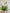 18" Plastic beaded grass Bush , wreath embellishment, greenery spray, 13094GN - MBcraftssupplyco